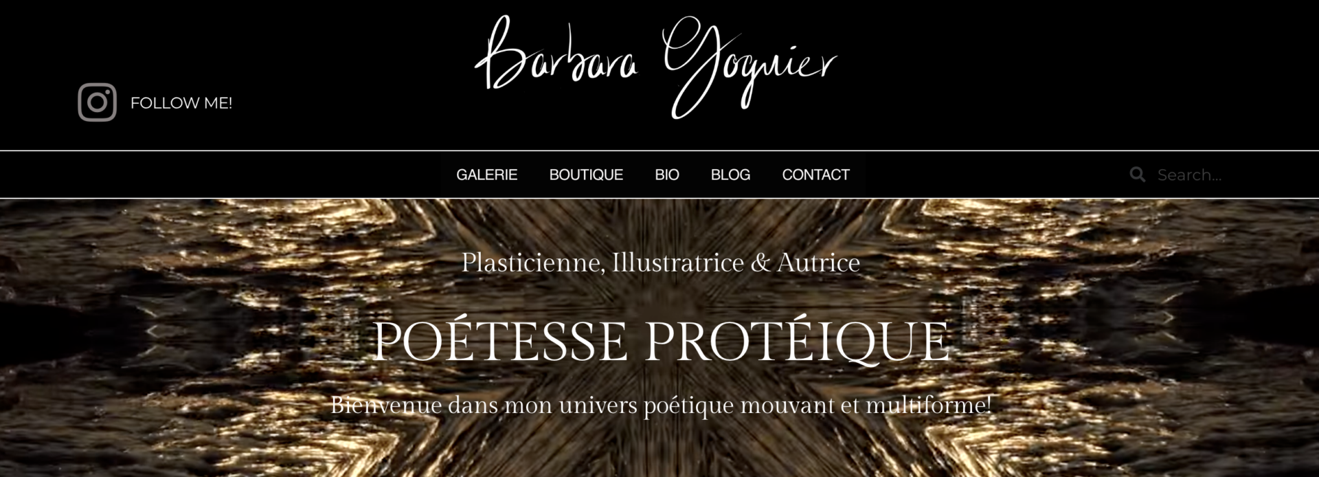 Nouveau site internet de Barbara Goguier - artiste plasticienne, illustratrice et autrice